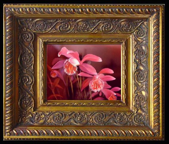 framed  unknow artist Still life floral, all kinds of reality flowers oil painting  56, Ta078